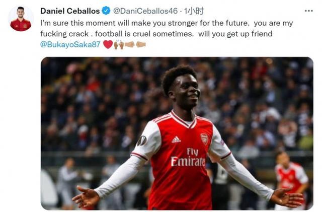 低迷形成鲜 低迷形成鲜