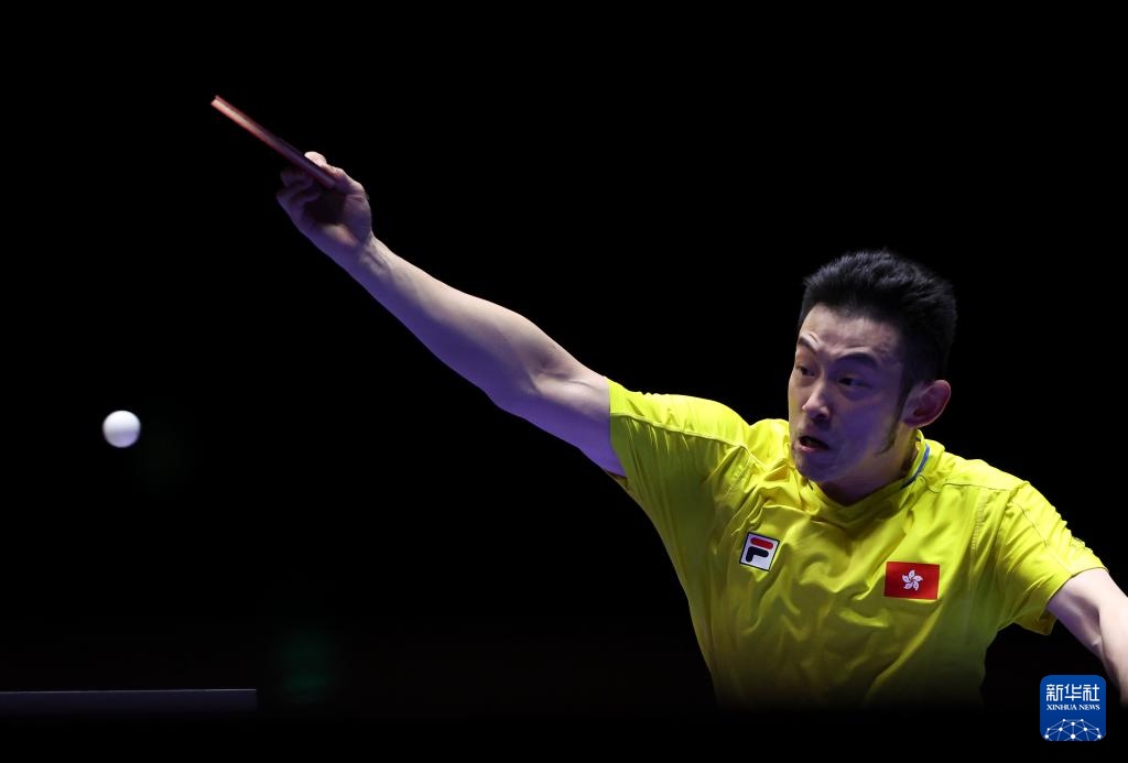 限制了鹈鹕 限制了鹈鹕