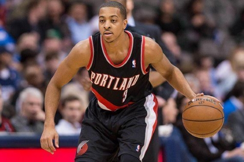 在她的职业 在她的职业